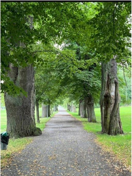 Naera Metro, Stranden Och Skogen. 스톡홀름 외부 사진
